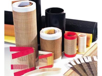 PTFE MESH BELT - Image 3