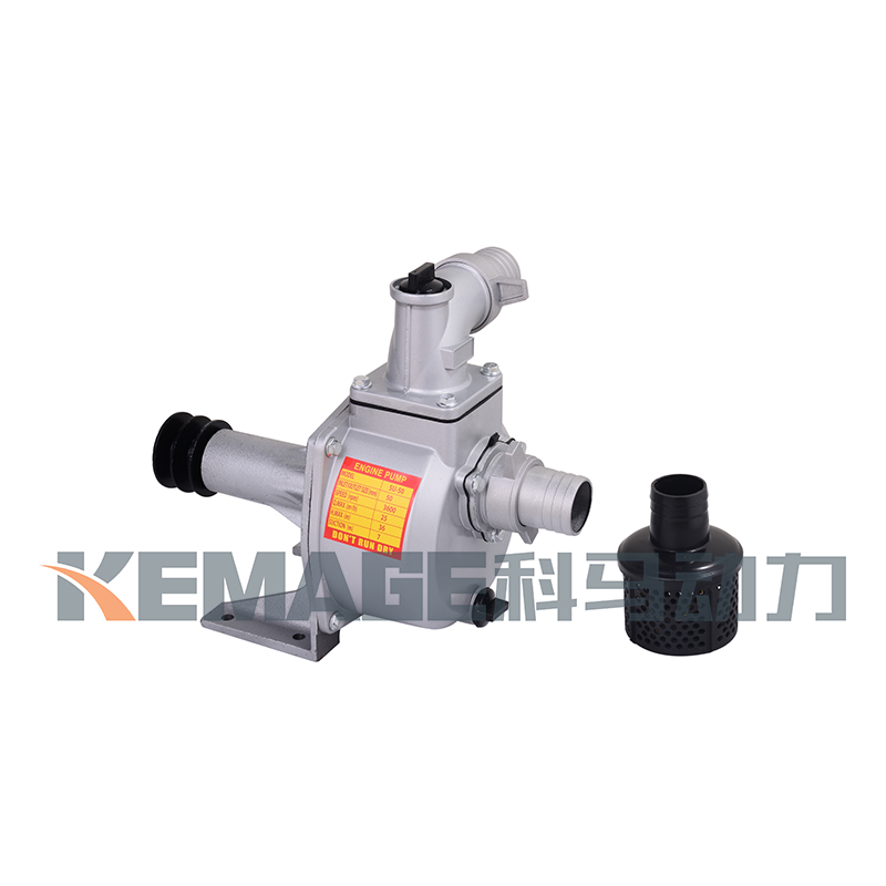 Water Transfer Pulley Pump