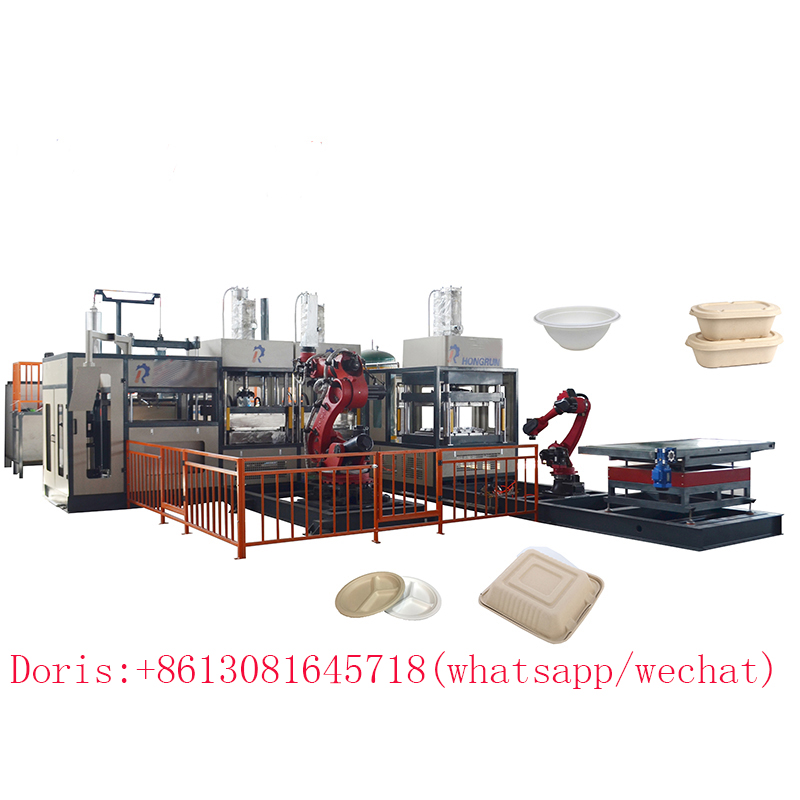 pulp molding tableware machine - Image 2