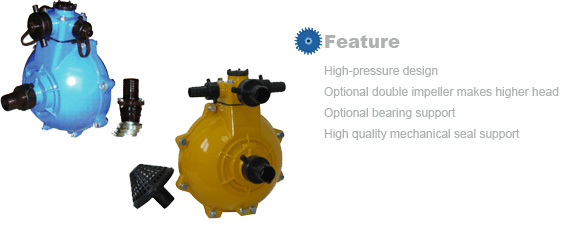 High-Pressure Pump End with Optional Impeller