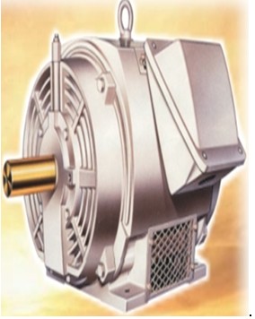 Industrial Pump Motor