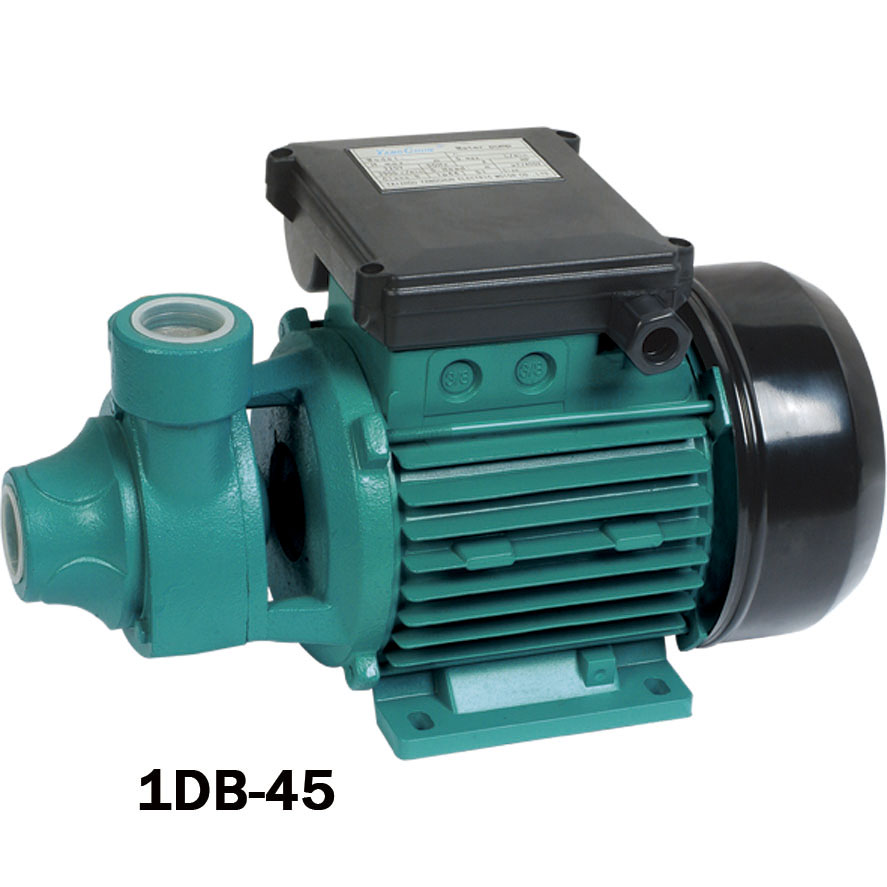 Centrifugal Water Pump for Water Transfer
