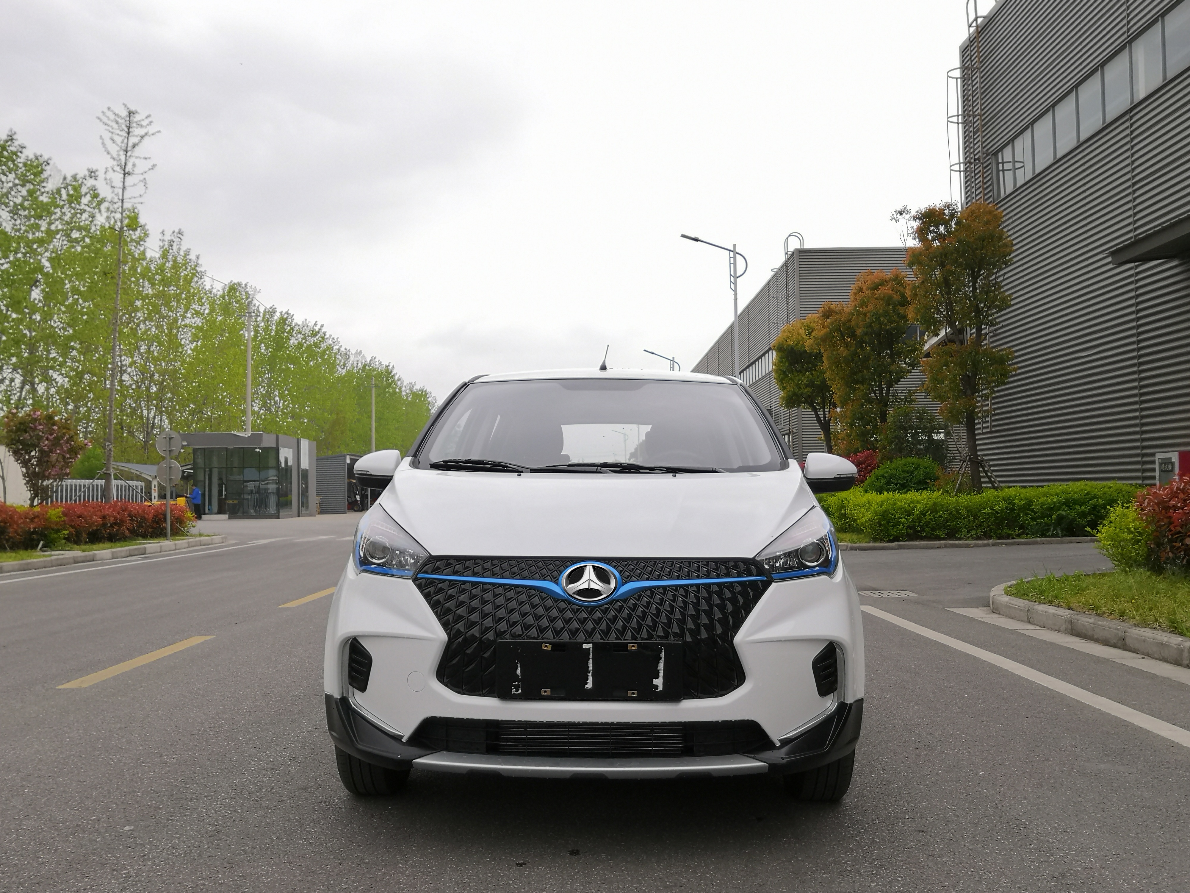pure electric car high speed range 300KM with EU M1type certification - Image 3