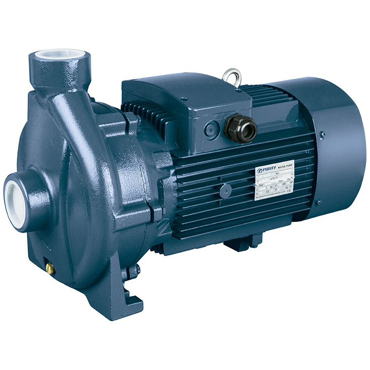 PURITY Thread Port Centrifugal Pump PC - Image 2