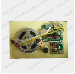 Push Button Activated Sound Module