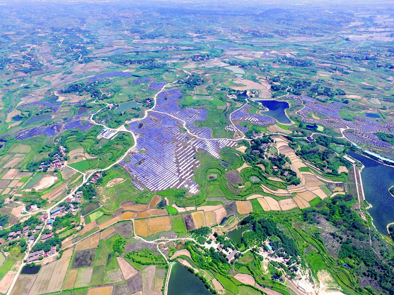 High-efficiency solar modules in a large-scale farm