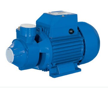 Peripheral Water Pump for Clean Water Transfer