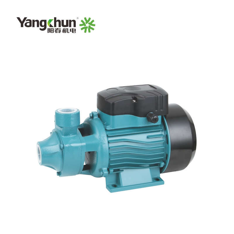 Vortex Water Pump