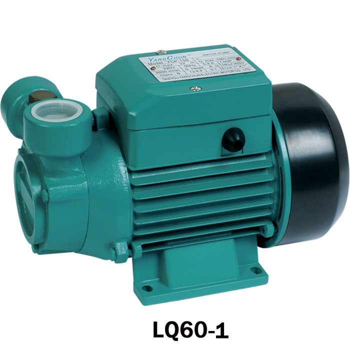 Vortex Pure Water Pump