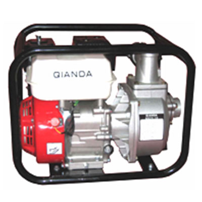 Portable Gasoline Water Pump