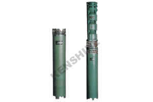 Vertical Multistage Stainless Steel Centrifugal Pump