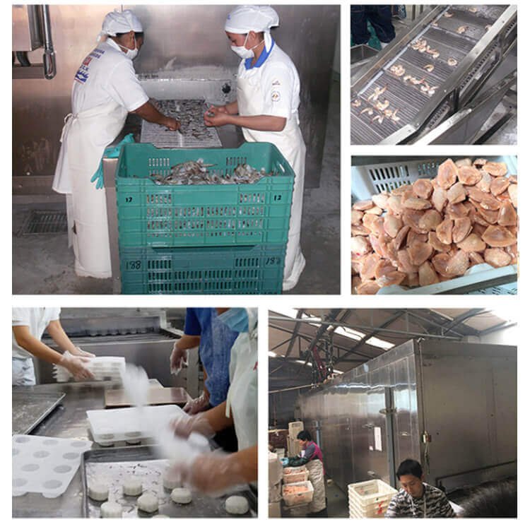 Multi-stage compressor system used in food processing environments.