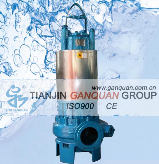 Submersible Sewage Pump for Wastewater and Sludge