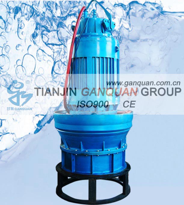 High Pressure Axial Flow Water Pump