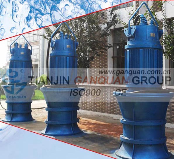 Submersible Axial Flow Pump for Irrigation and Drainage