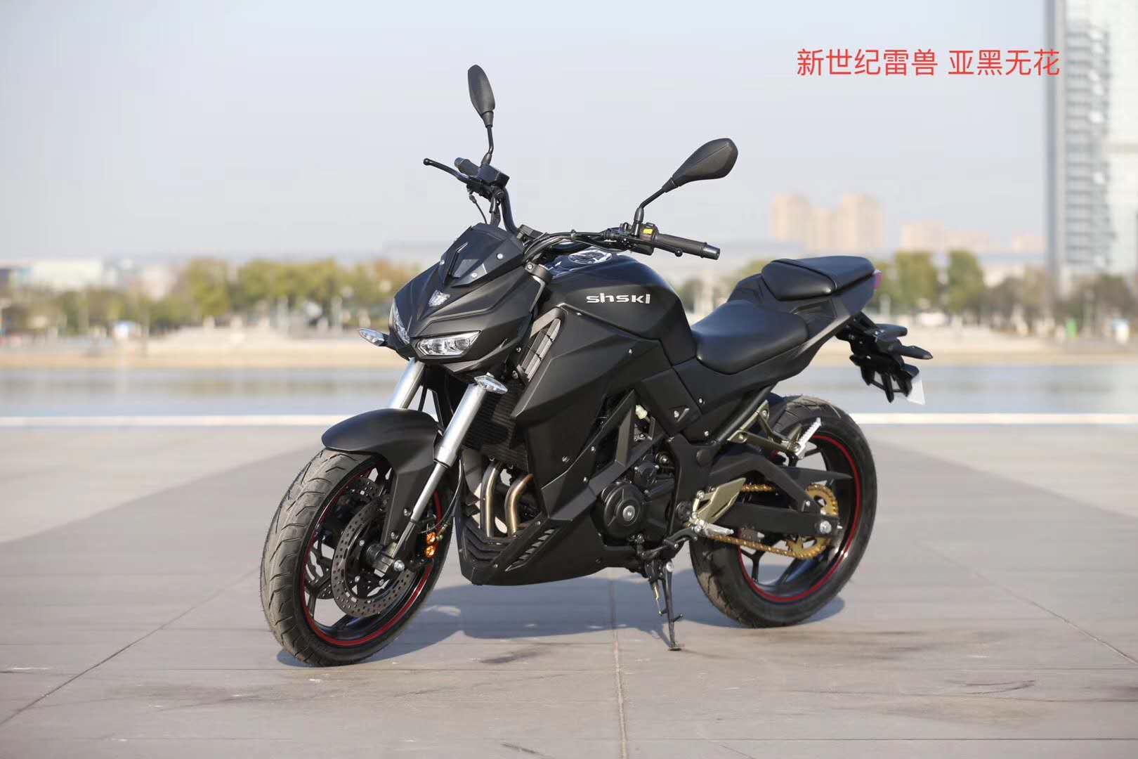 Aerodynamic Racing Motorcycle with Disc Brakes