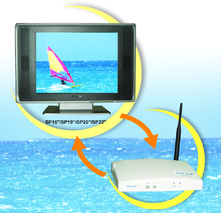 Wireless Radio Communication System