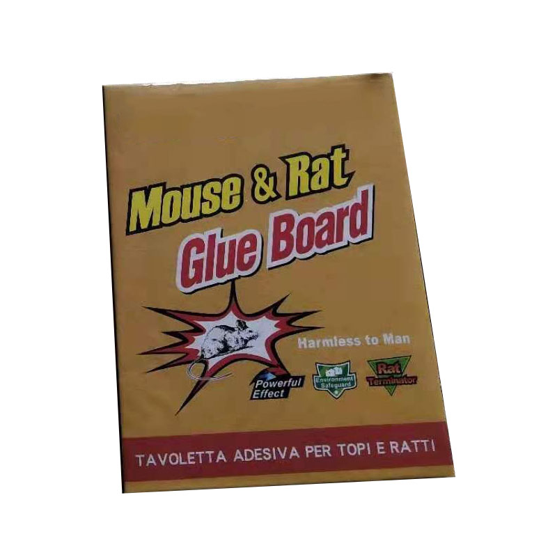 RAT GLUE BOARD - Image 2