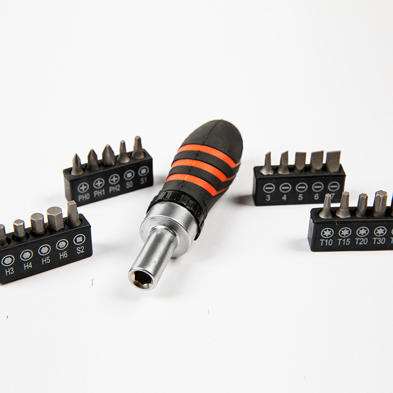 21-Piece Ratcheting Screwdriver Bit Set
