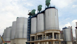 RAW MATERIALS SILO SYSTEM - Image 2