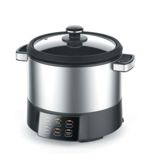 Multi Cooker with Stainless Steel Body