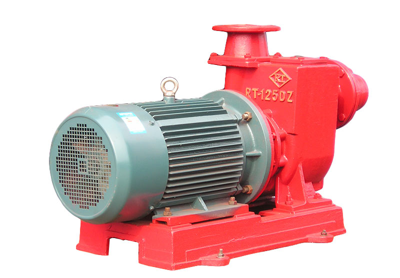 Rdz drip pump - Image 2