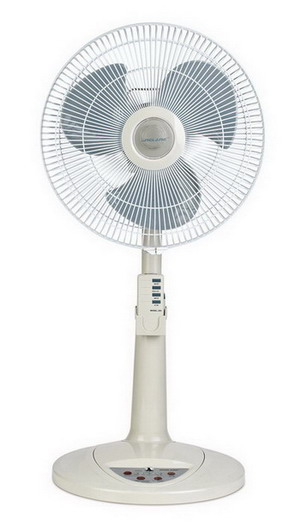 Rechargeable Oscillating Pedestal Fan