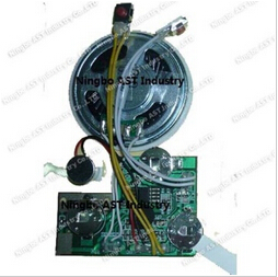Recordable Sound Module with Built-in Microphone and Speaker