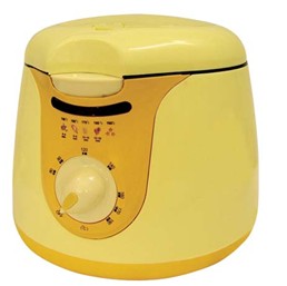 Compact Electric Deep Fryer with Temperature Control
