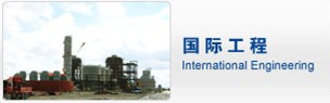 International Engineering Project Portfolio