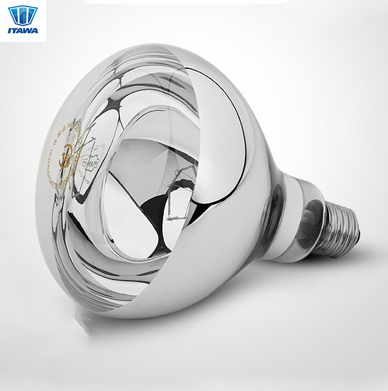 Reflector Light Bulb