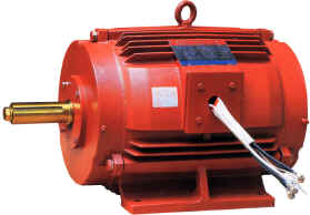 Industrial Electric Motor for Refrigeration Ventilation