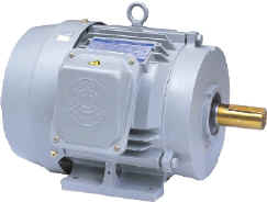 General Purpose Electric Motor for Refrigeration and Ventilation
