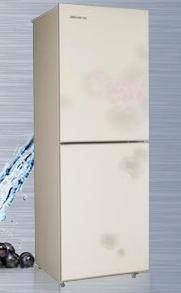 Two-Door Top-Freezer Refrigerator