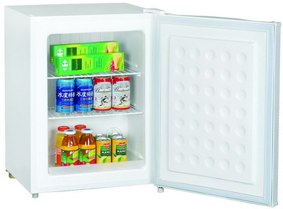 Compact Refrigerator with Adjustable Shelves