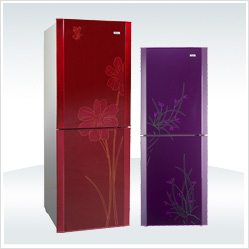 Two-Door Refrigerator with Floral Design