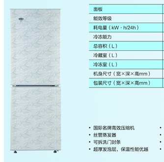 Two-Door Vertical Refrigerator