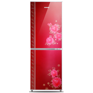 Two-Door Home Refrigerator with Floral Design