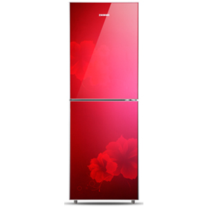 Two-Door Refrigerator with Floral Accents