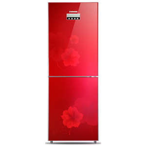 Two-Door Household Refrigerator
