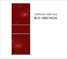 Two-Door Vertical Refrigerator with Freezer