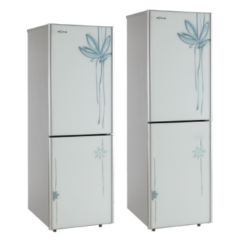 Two-Door Compact Refrigerator with Floral Design