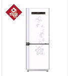 Two-Door Home Refrigerator with Floral Design