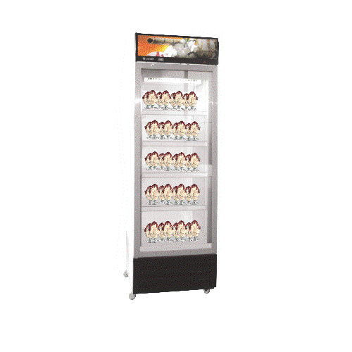 Commercial Vertical Display Refrigerator