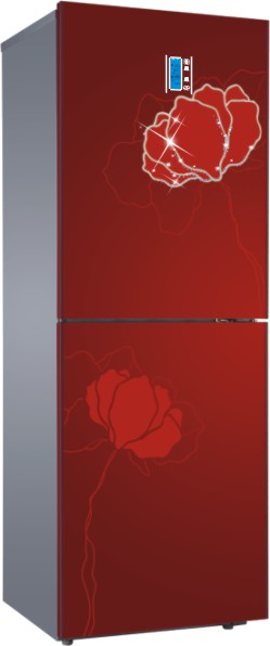 Two-Door Household Refrigerator