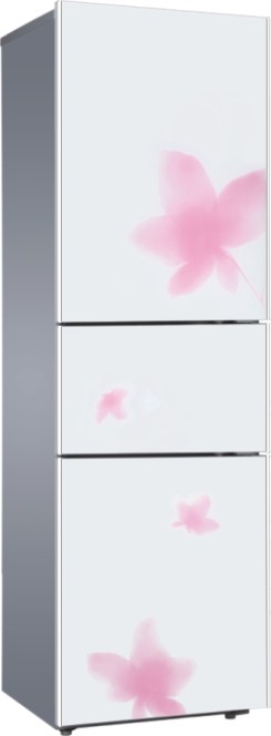 Multi-Compartment Refrigerator with Floral Design