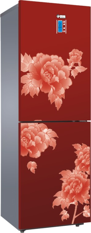 Two-Door Refrigeration Unit with Floral Design