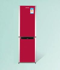 Two-Door Home Refrigerator