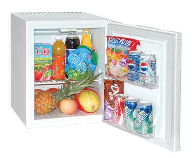 Compact Refrigerator for Personal Use