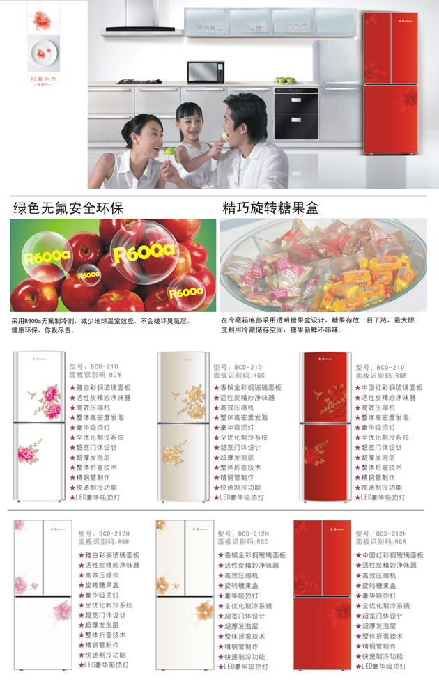 R600a Refrigerators with Steel Glass Panel